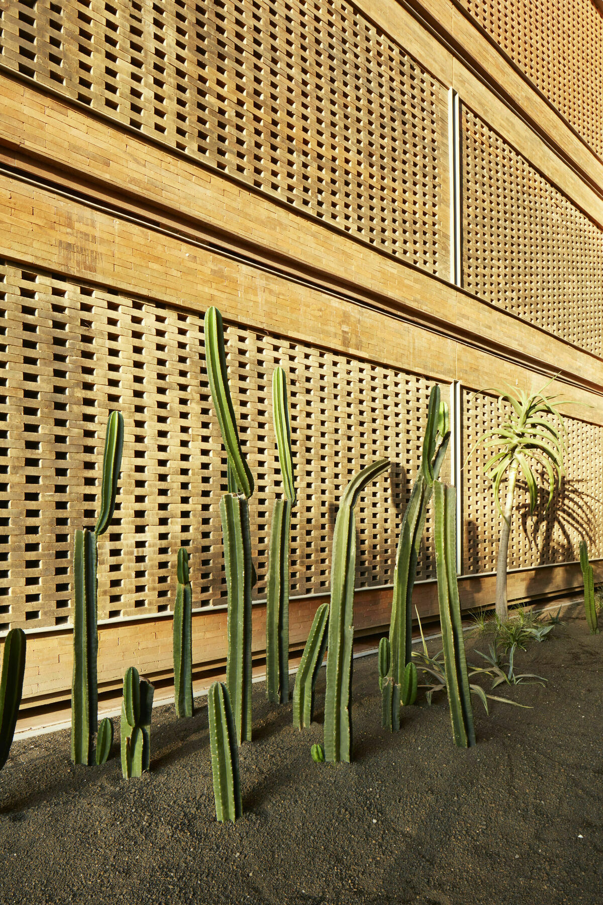 Katamama Suites At Desa Potato Head เซมินยัค ภายนอก รูปภาพ